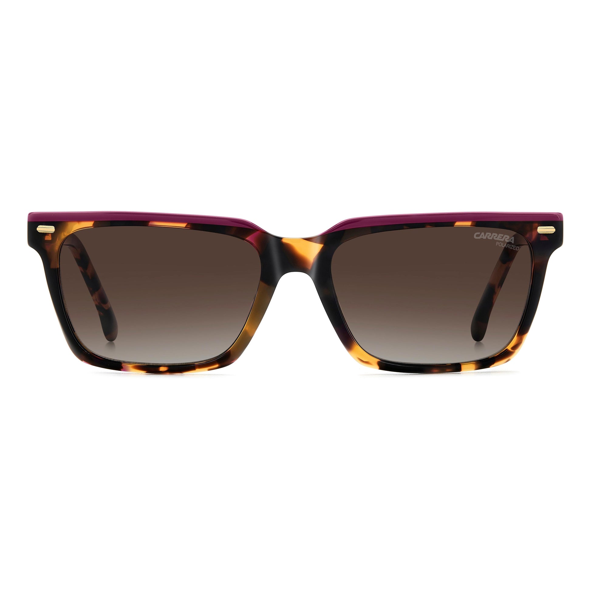 CARRERA 3056/S | Havana Plum