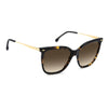 CARRERA 3071/S | Havana Gold
