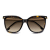 CARRERA 3071/S | Havana Gold