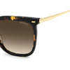 CARRERA 3071/S | Havana Gold