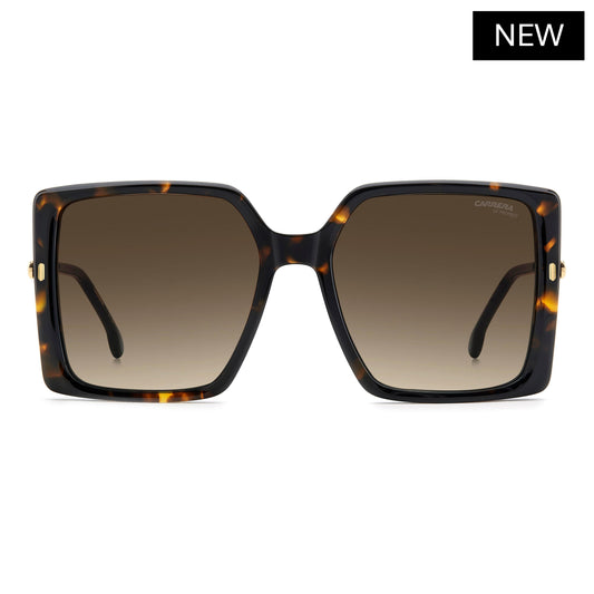 CARRERA 3070/S | Havana Gold