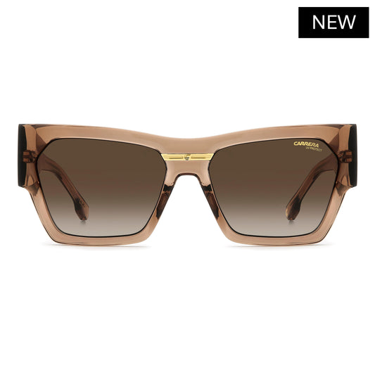 VICTORY C 19/S | Brown