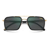 CARRERA 362/S | Black Gold