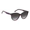 CARRERA 3084/S | Violet Horn