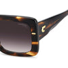 CARRERA 3085/S | Brown Horn