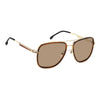 CARRERA 3089/S | Brown Horn