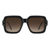CARRERA 3104/S | Black Beige