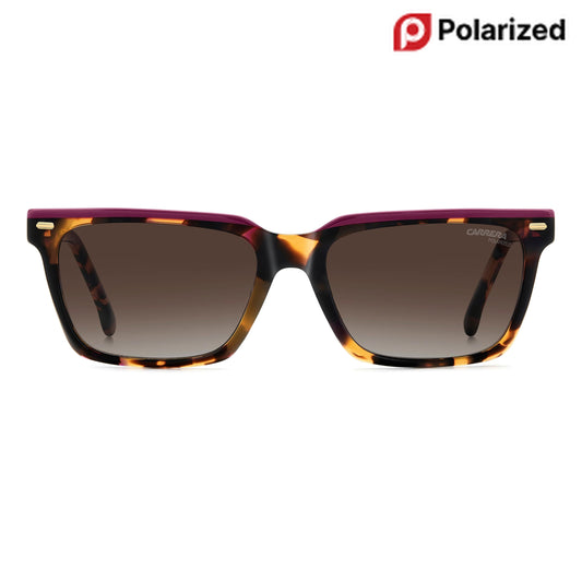 CARRERA 3056/S | Havana Plum