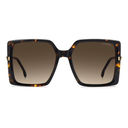 CARRERA 3070/S | Havana Gold