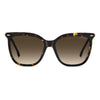 CARRERA 3071/S | Havana Gold
