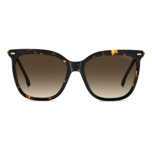 CARRERA 3071/S | Havana Gold