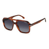 CARRERA 317/S | Brown Horn