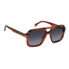 CARRERA 317/S | Brown Horn