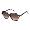 CARRERA 3026/S | Violet Havana